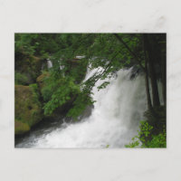 Roaring Waterfall