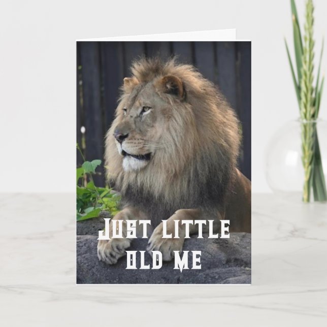ROARINGLY HUGE WISHES HAPPY BIRTHDAY CARD (Front)