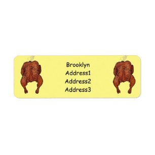 Roast chicken cartoon illustration