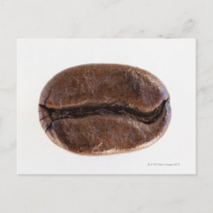 Roast coffee bean, studio shot postcard
