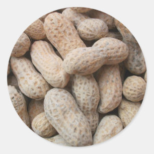 Roasted Salted Peanuts in the Shell Classic Round Sticker