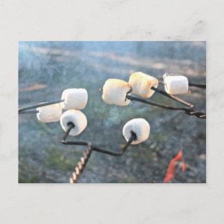 Roasting Marshmallows Postcard