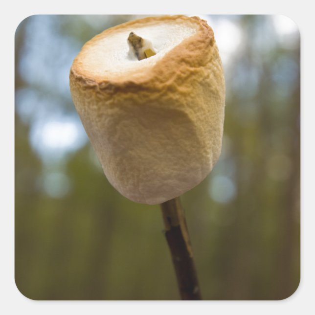 Roasting Marshmallows Square Sticker (Front)