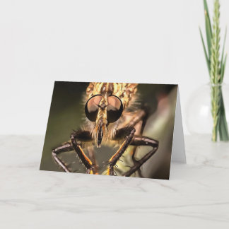 Robber Fly Profile Asildae Artistic Close Up Card