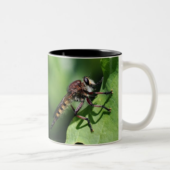 Robber Fly Two-Tone Coffee Mug (Right)