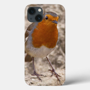 Robbie Robin iPad Mini Case