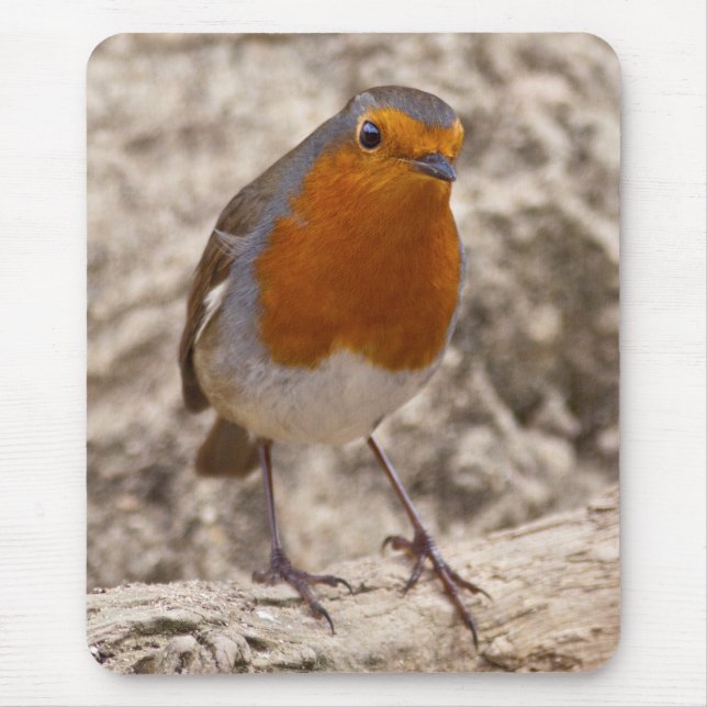 Robbie Robin Mousemat (Front)