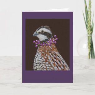 Robbie the bobwhite greeting card