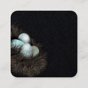 "Robbin eggs business cards nest"