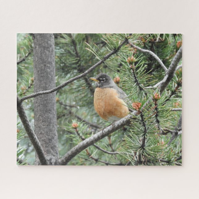 Robbin in the Trees Jigsaw Puzzle (Horizontal)