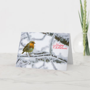 Robbin Redbreast Card
