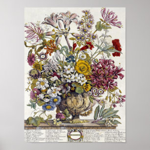 Robert Furber - October  -  Twelve Months Poster