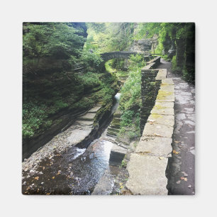 robert h. treman state park bridge magnet