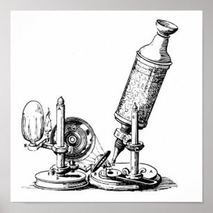 Robert Hooke's Microscope Poster