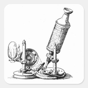 Robert Hooke's Microscope Square Sticker
