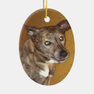 Robert Hoynes Tribute Ornament #6