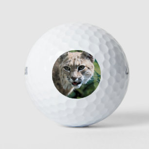 Robert J.Bobcat  Golf Balls