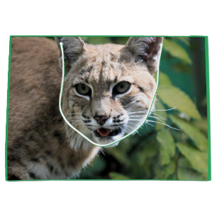 Robert J.Bobcat  Large Gift Bag