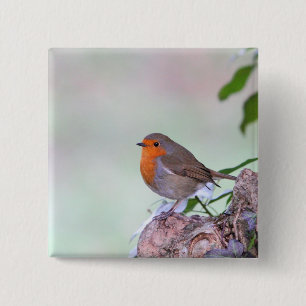 Robin 15 Cm Square Badge