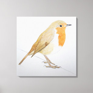 Robin 2011 canvas print