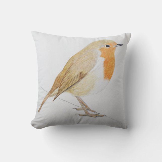 Robin 2011 cushion (Front)