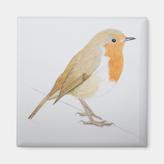 Robin 2011 magnet (Front)