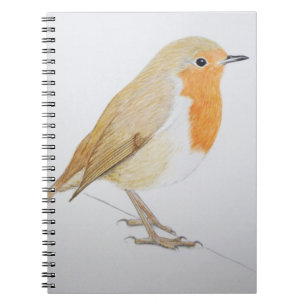 Robin 2011 notebook