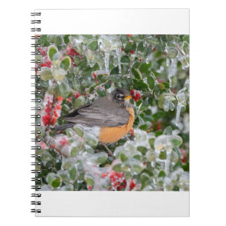 Robin at Christmas Notebook