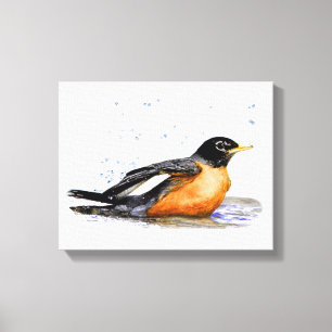 Robin Bathing Canvas Print