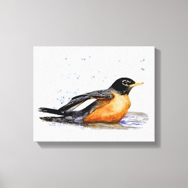 Robin Bathing Canvas Print (Front)