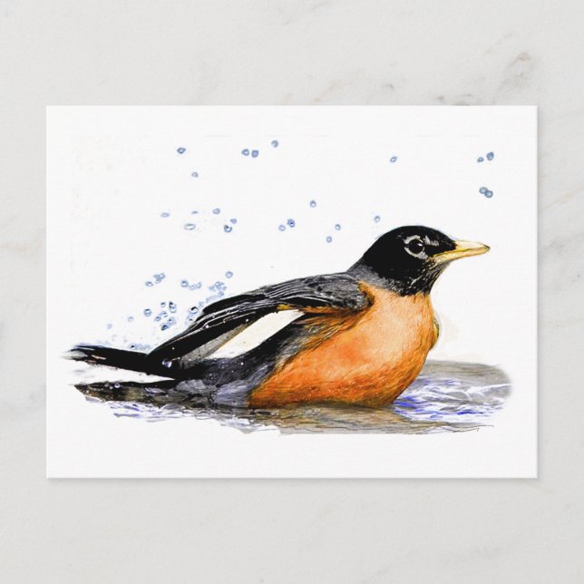 Robin Bathing Postcard (Front)