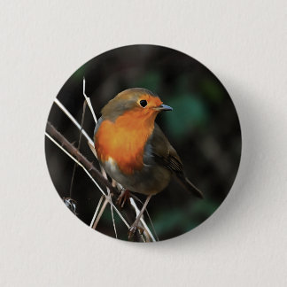 Robin Being Bright On A Dull Day Acrylic Art 6 Cm Round Badge
