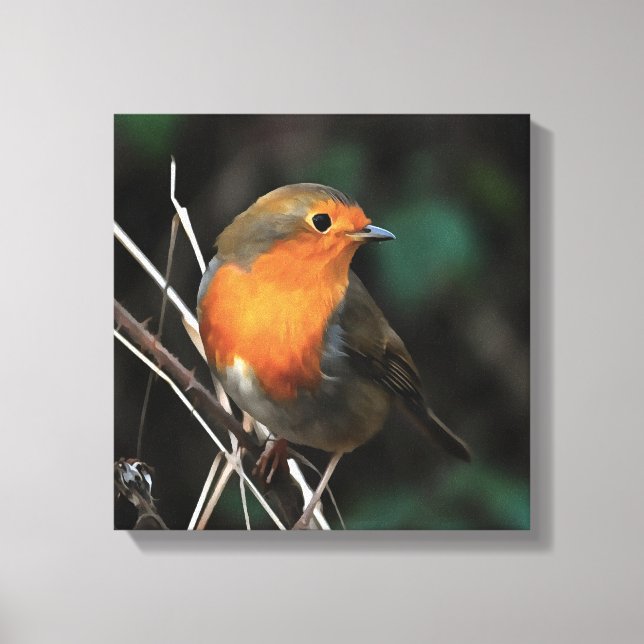 Robin Being Bright On A Dull Day Acrylic Art Canvas Print (Front)