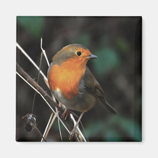Robin Being Bright On A Dull Day Acrylic Art Magnet