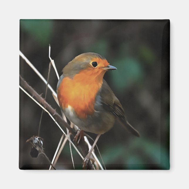 Robin Being Bright On A Dull Day Acrylic Art Magnet (Front)