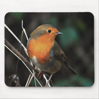 Robin Being Bright On A Dull Day Acrylic Art Mouse Mat