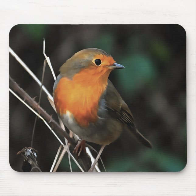 Robin Being Bright On A Dull Day Acrylic Art Mouse Mat (Front)