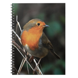 Robin Being Bright On A Dull Day Acrylic Art Notebook