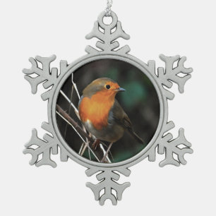 Robin Being Bright On A Dull Day Acrylic Art Snowflake Pewter Christmas Ornament