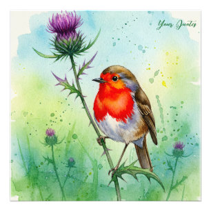 Robin Bird and Thistle Flower Botanical Watercolor Photo Print