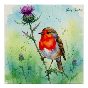 Robin Bird and Thistle Flower Botanical Watercolor Poster