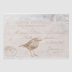 Robin Bird Carte Postale French Decoupage Blue  Tissue Paper