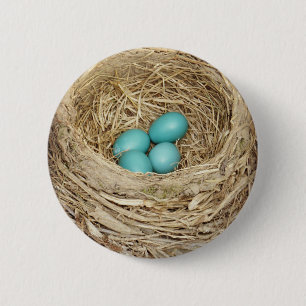Robin Bird Egg Nest 6 Cm Round Badge