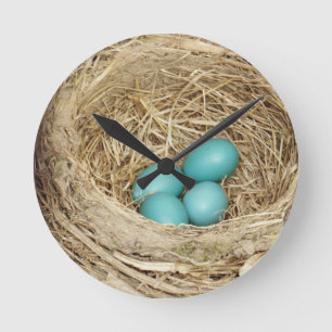 Robin Bird Egg Nest Round Clock