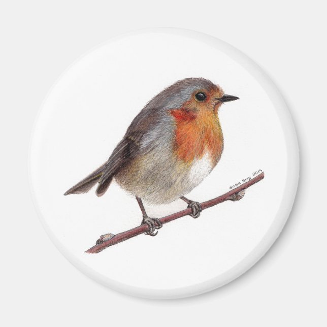 Robin Bird (Erithacus Rubecula) Magnet (Front)