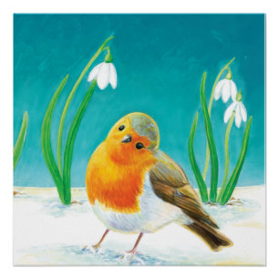 Robin Bird - Erithacus rubecula  Poster