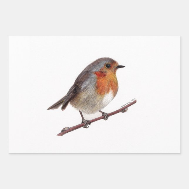 Robin Bird (Erithacus Rubecula) Wrapping Paper (Front)