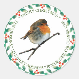 Robin bird family name Merry Christmas Classic Round Sticker