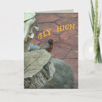 Robin bird garden Fly High personalise birthday?