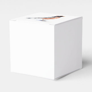 Robin Bird in Hat Favour Box